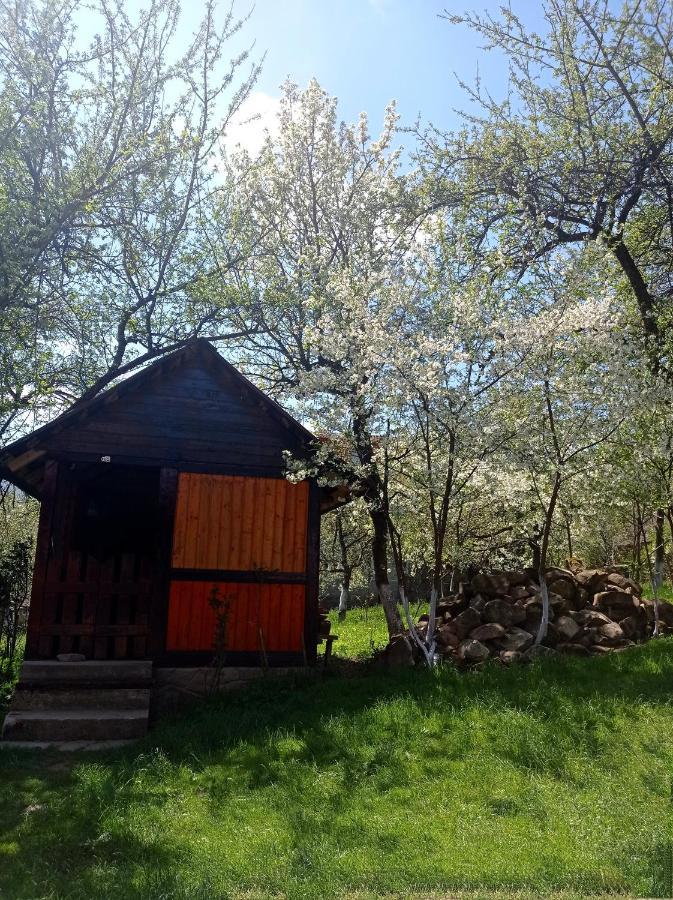 Готель Роздоріжжя Яремче Екстер'єр фото